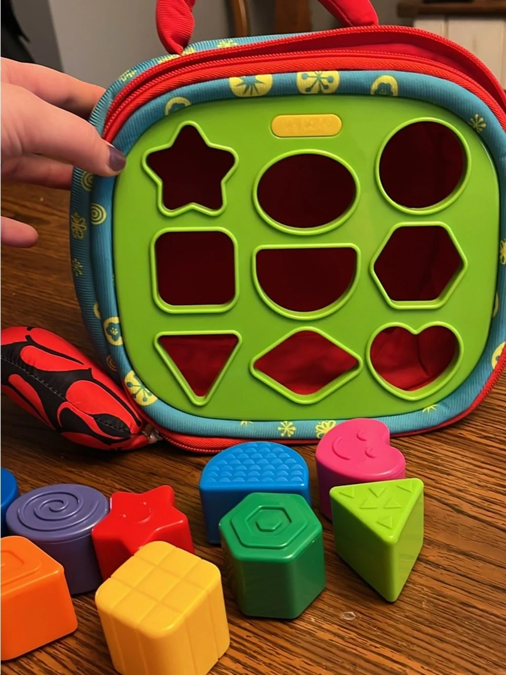 Colorful Shape Sorter Toy - Green, Blue, Red, Yellow Set